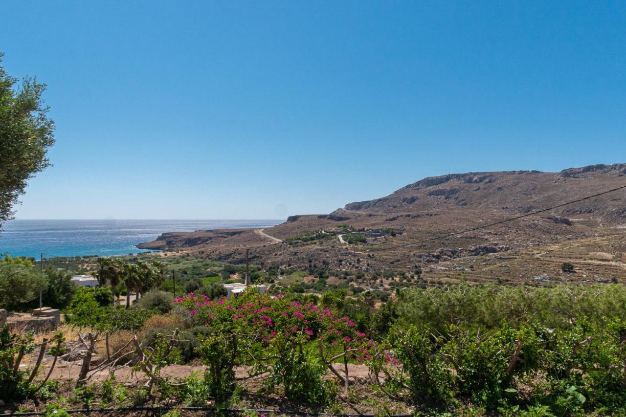 Anthia Sea View